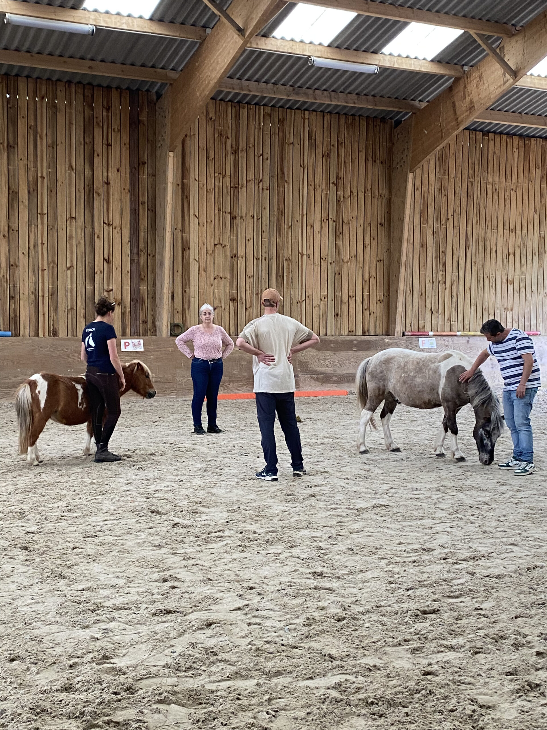 horse coaching