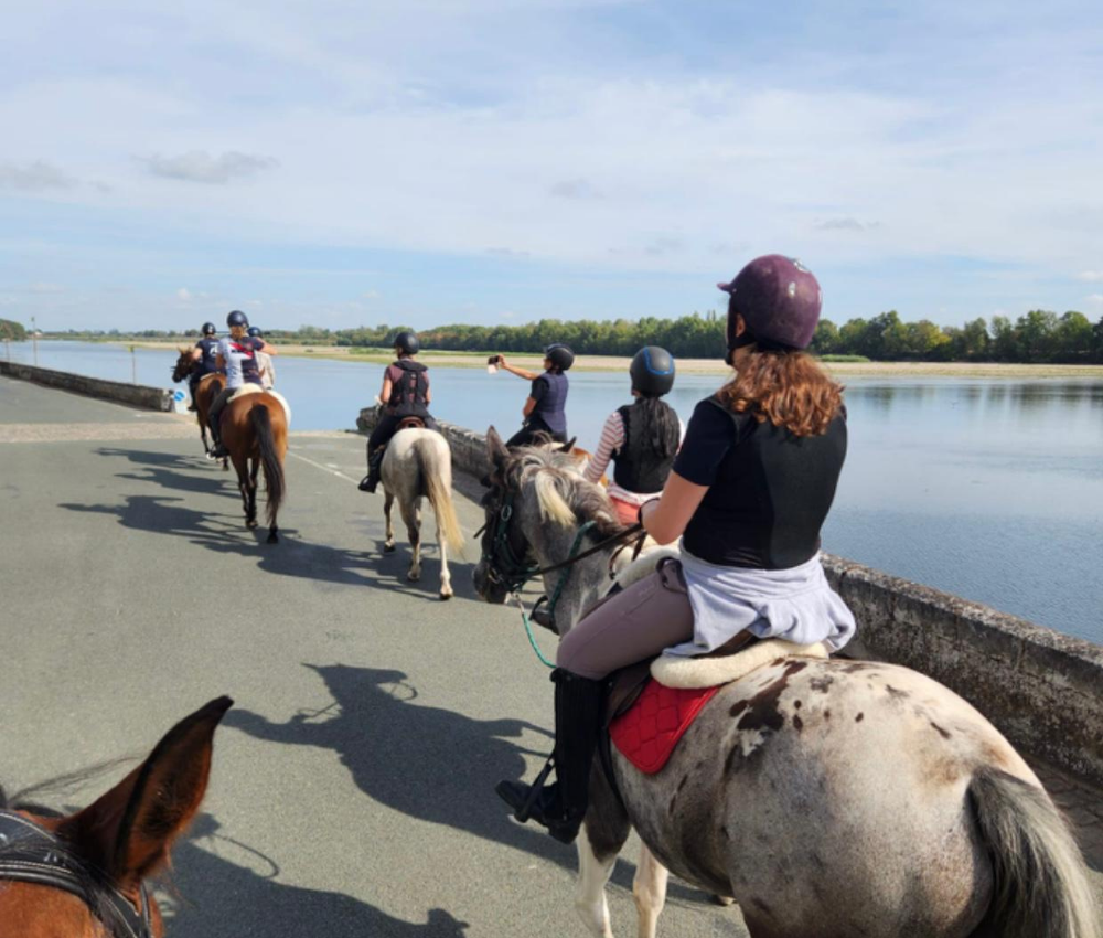 rando équitation adultes