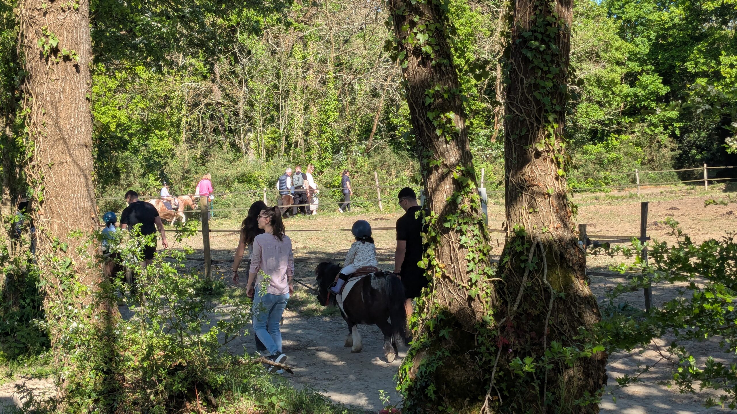 balade à poney enfant nantes