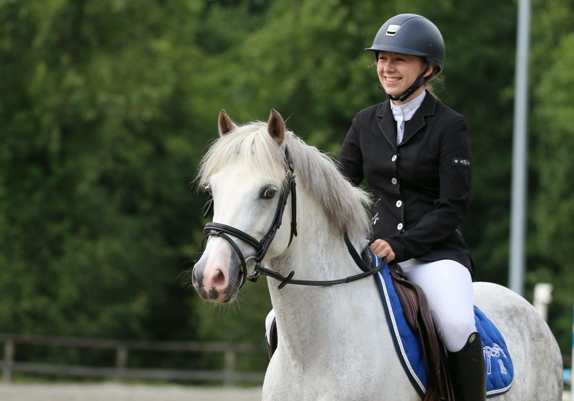 Entraînement compétition équitation