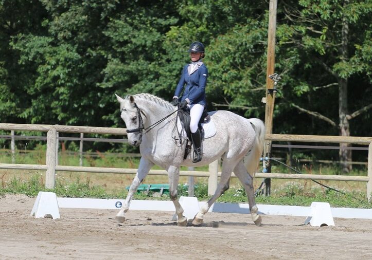 dressage équitation nantes