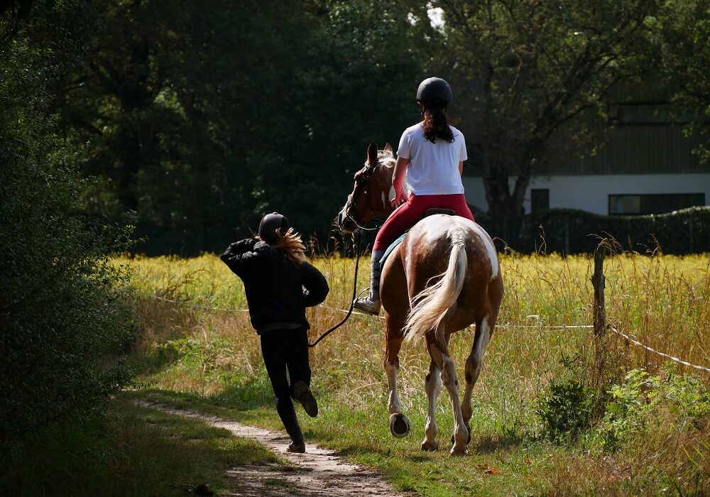 ride and run nantes compétition