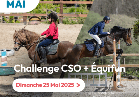 2025 + equifun-14