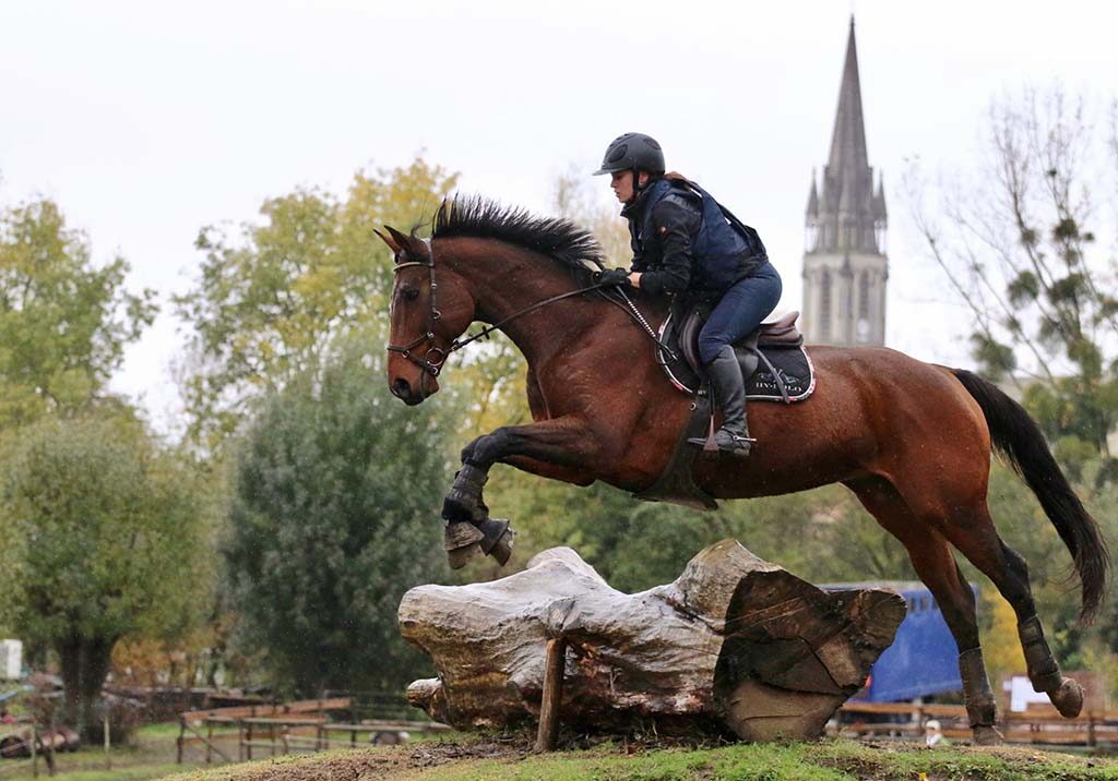 compétition équitation nantes