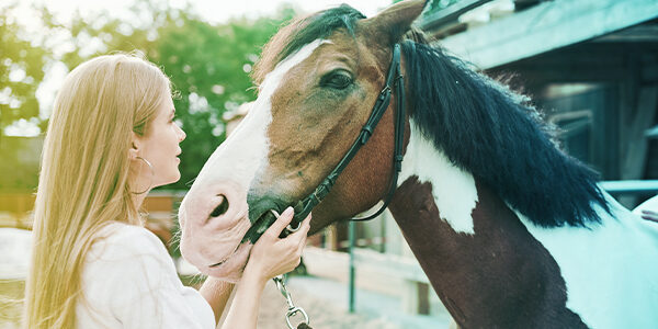 600x300-photo-cavalier-2