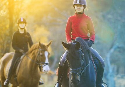 balade à cheval pour adultes initiation équitation nantes