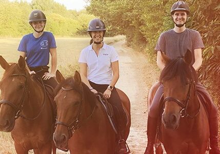 centre équestre à nantes initiation équitation adultes nantes