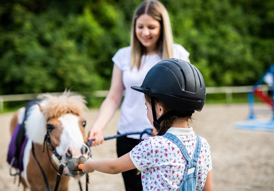 équitation pour bébés et enfants nantes