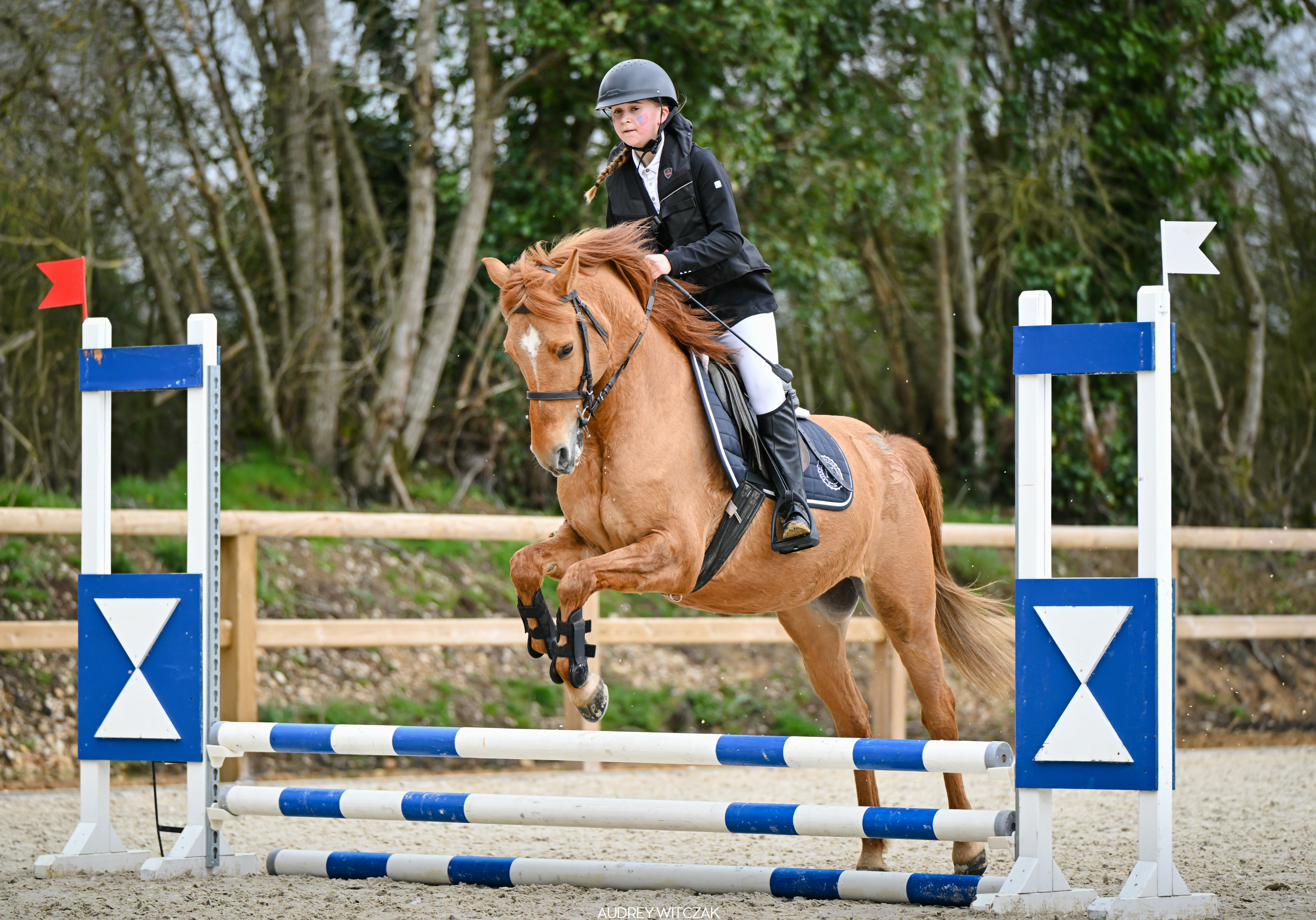 compétition équitation nantes