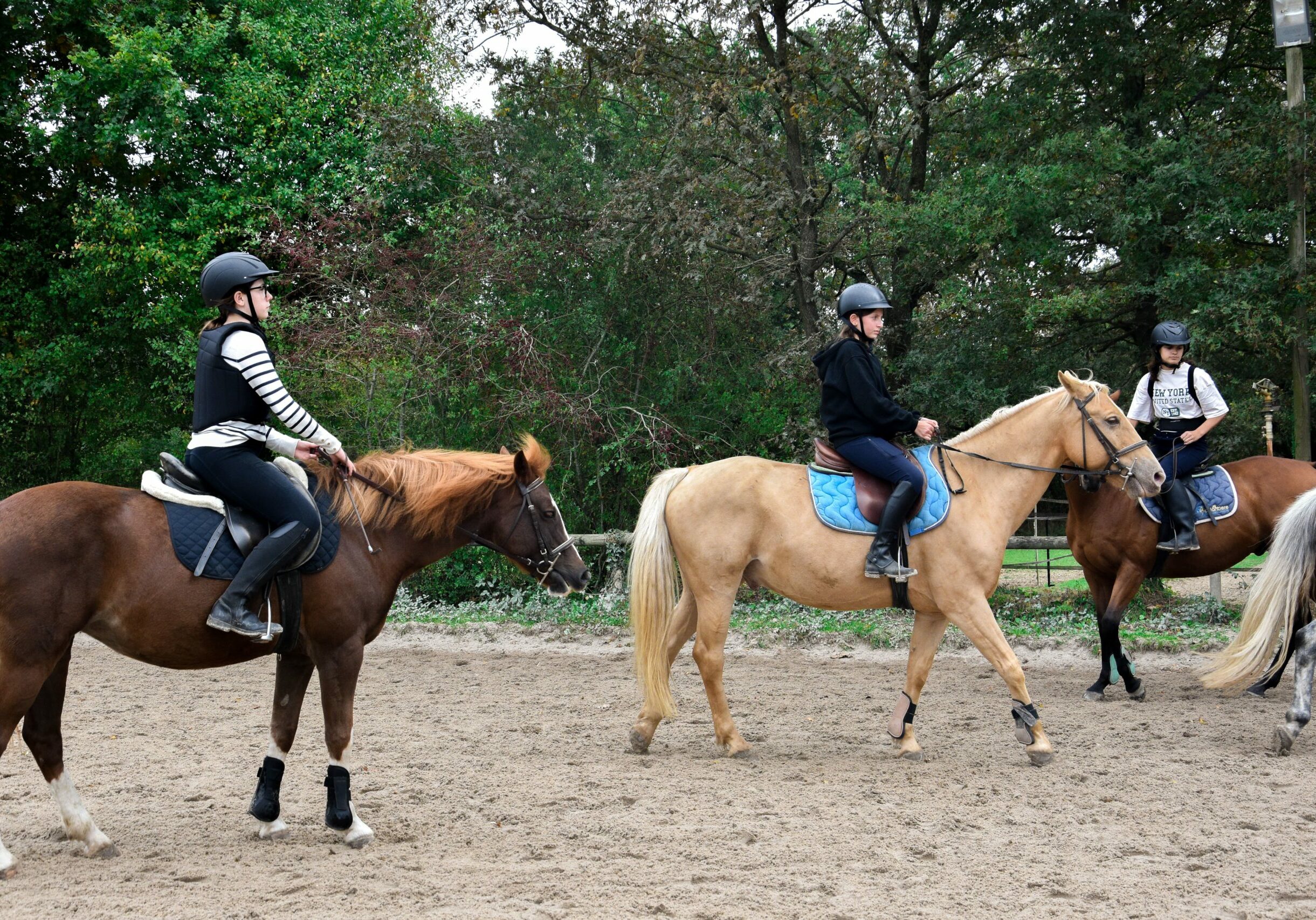 Balade d’initiation à cheval pour débutant