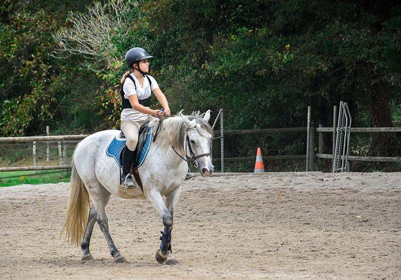 cours d'équitation à nantes