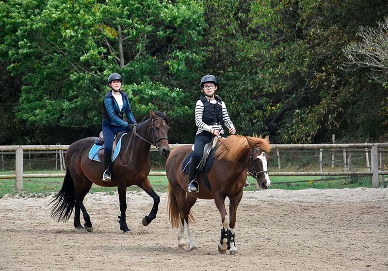 activité équitation groupe