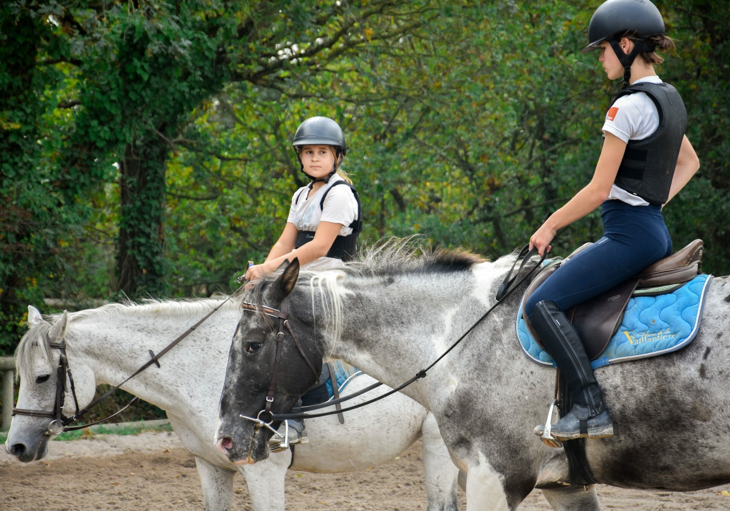 Initiation équitation adulte