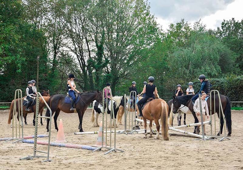 team building équitation