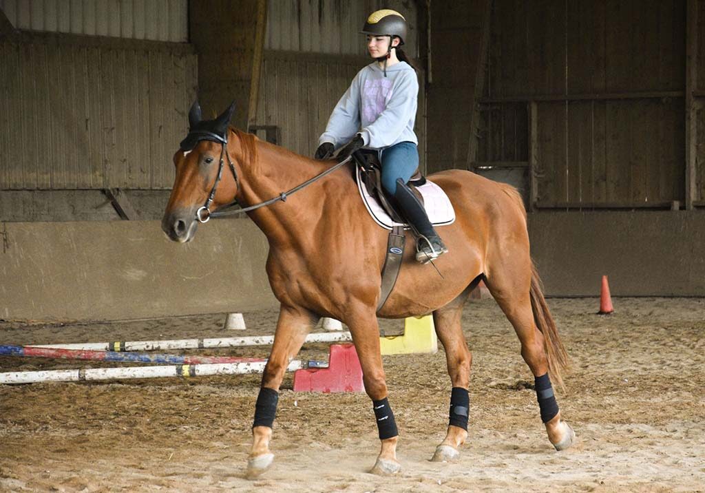 compétition centre equestre nantes