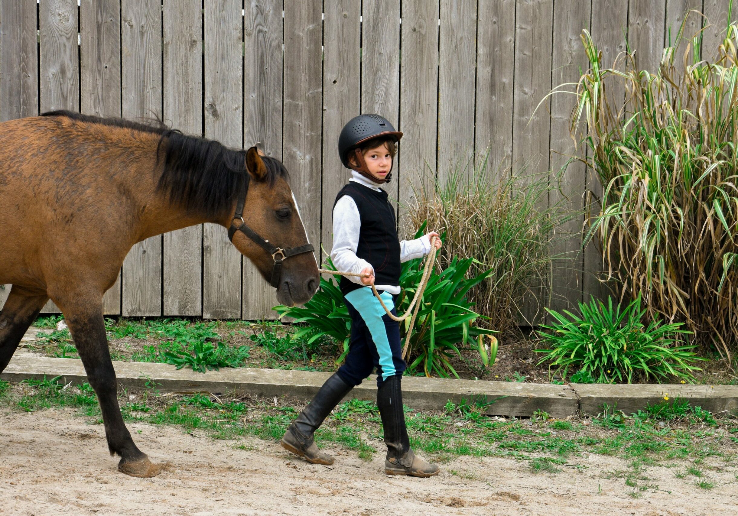 stage équitation nantes