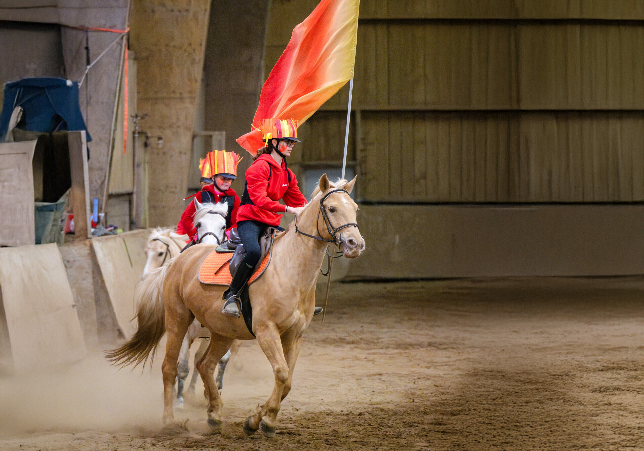 HARAS-DE-NANTES-LA-VAILLANTIERE-196 - Copie