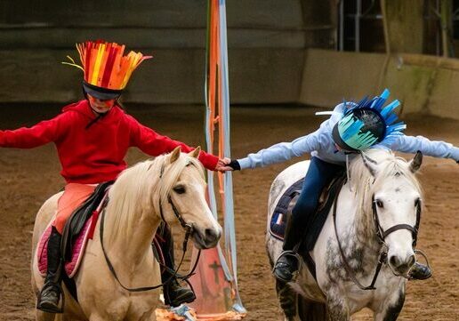 spectacle équestre