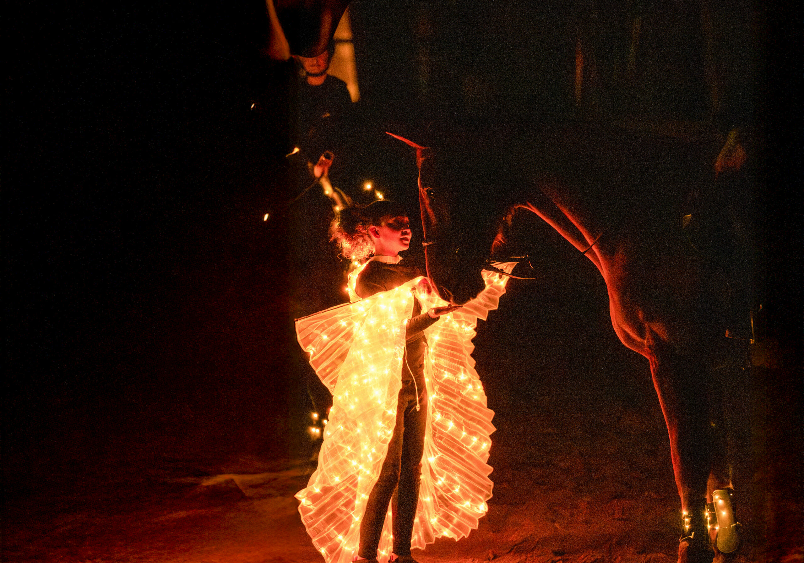 HARAS-DE-NANTES-LA-VAILLANTIERE-268