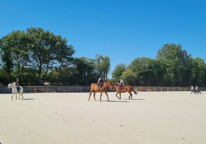 carrière centre équestre équitation nantes