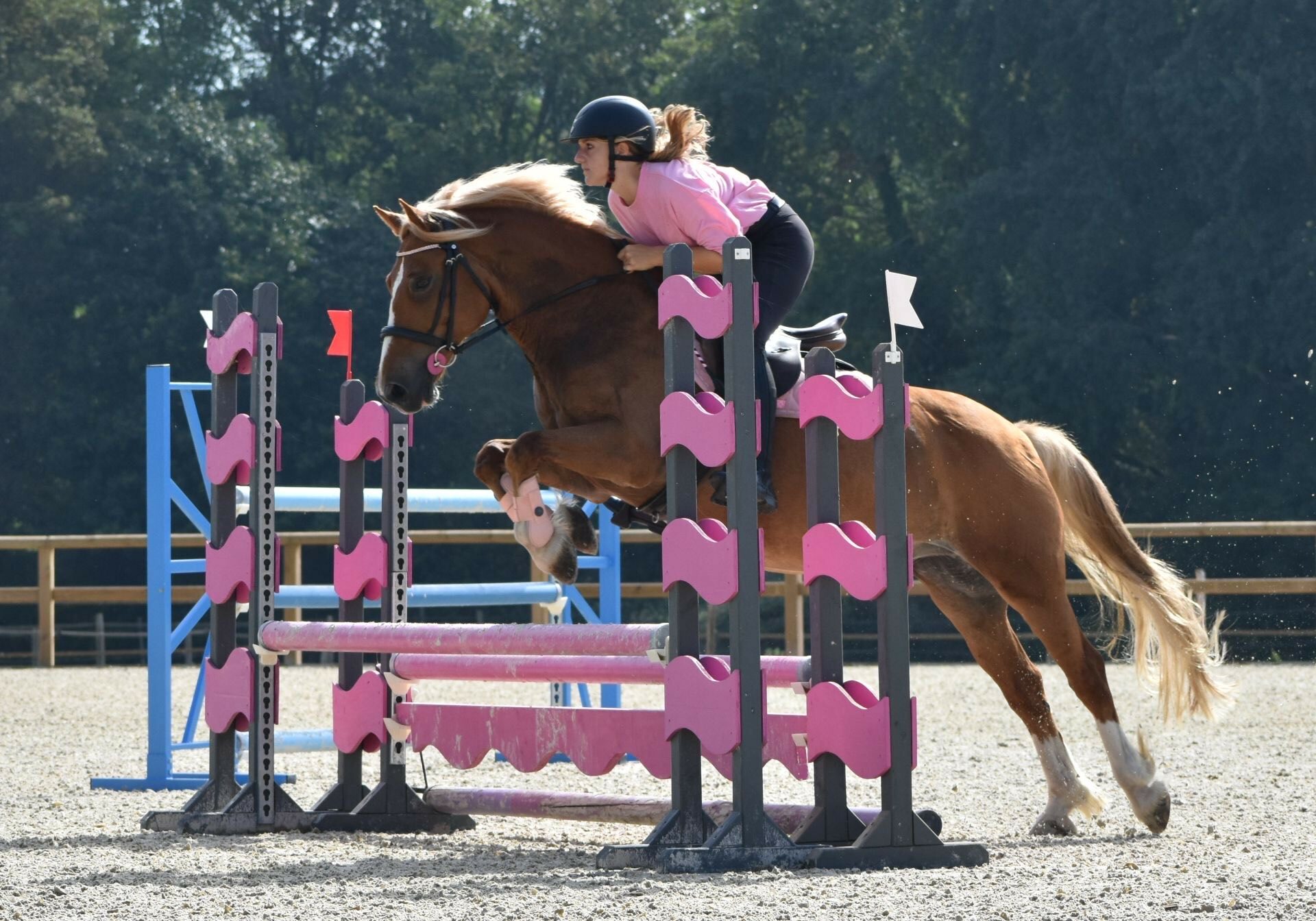 stage Se perfectionner au suat d'obstacles via la vidéo