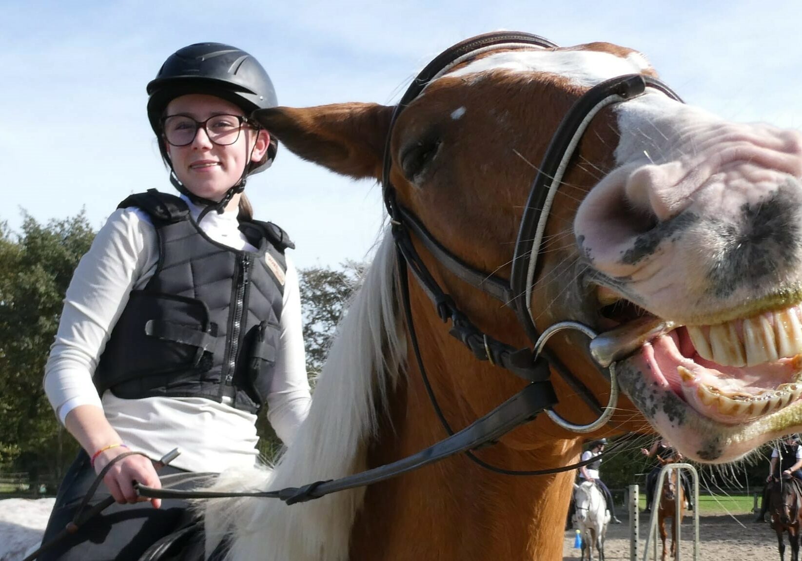 stage équitation nantes