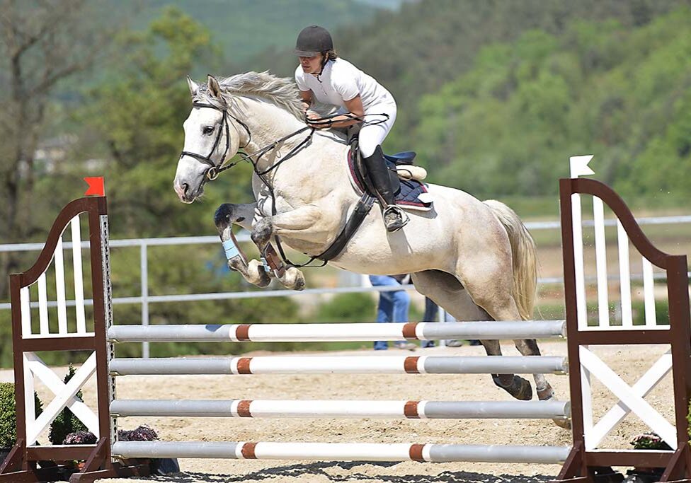 compétition cso concours saut d'obstacles équitation à nantes