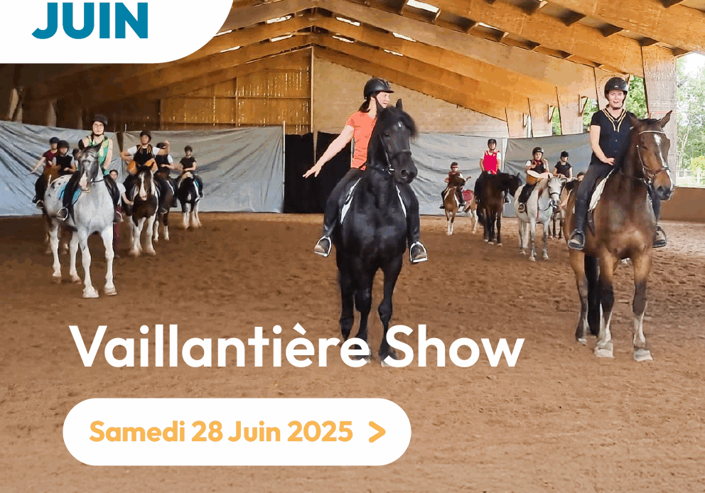 Vaillantière show-15
