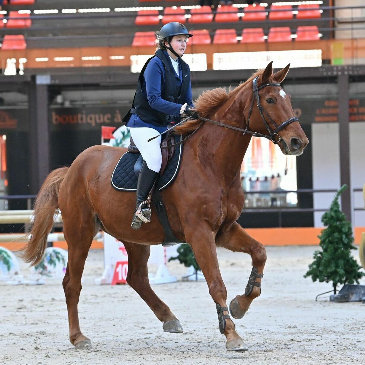 marie gaborit équitation nantes