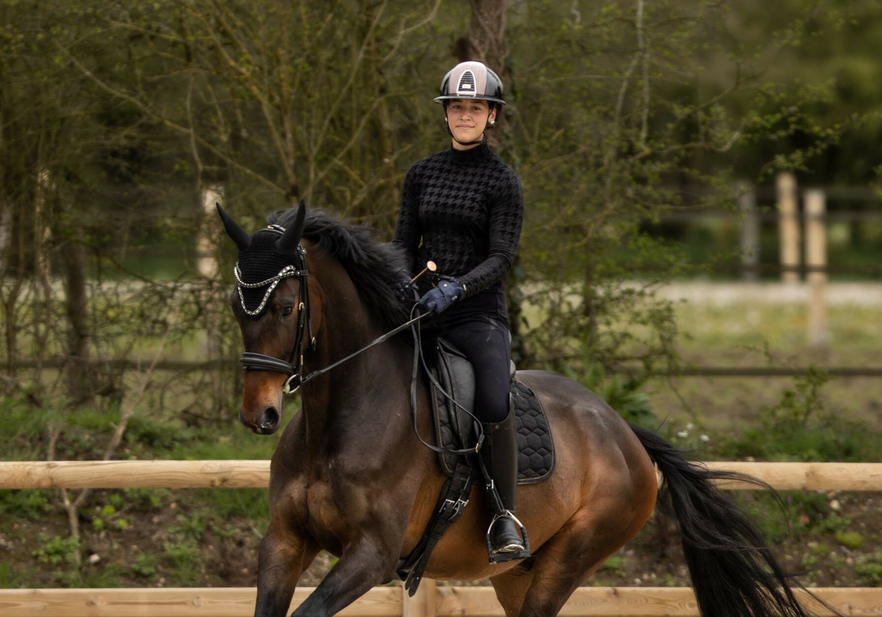 stage dressage nantes