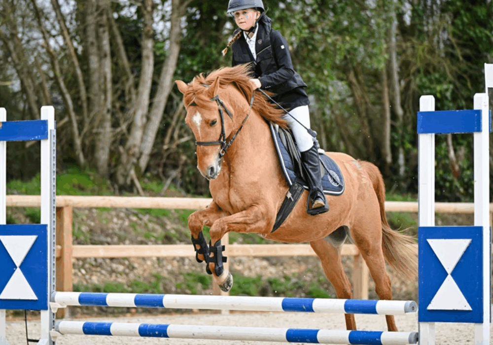 concours équitation nantes