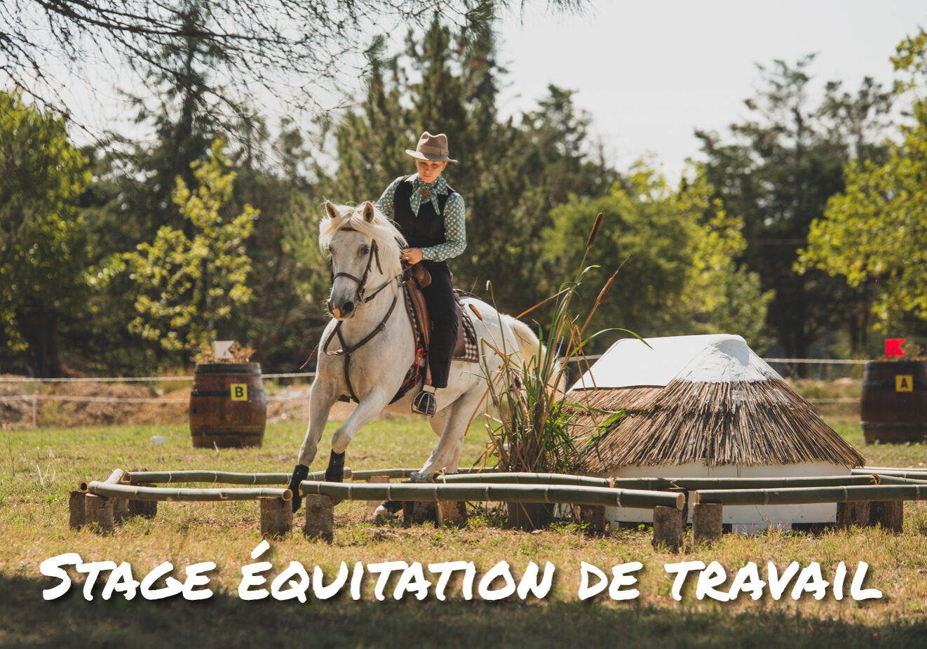 equitation-de-travail_ffe-cb_0-01