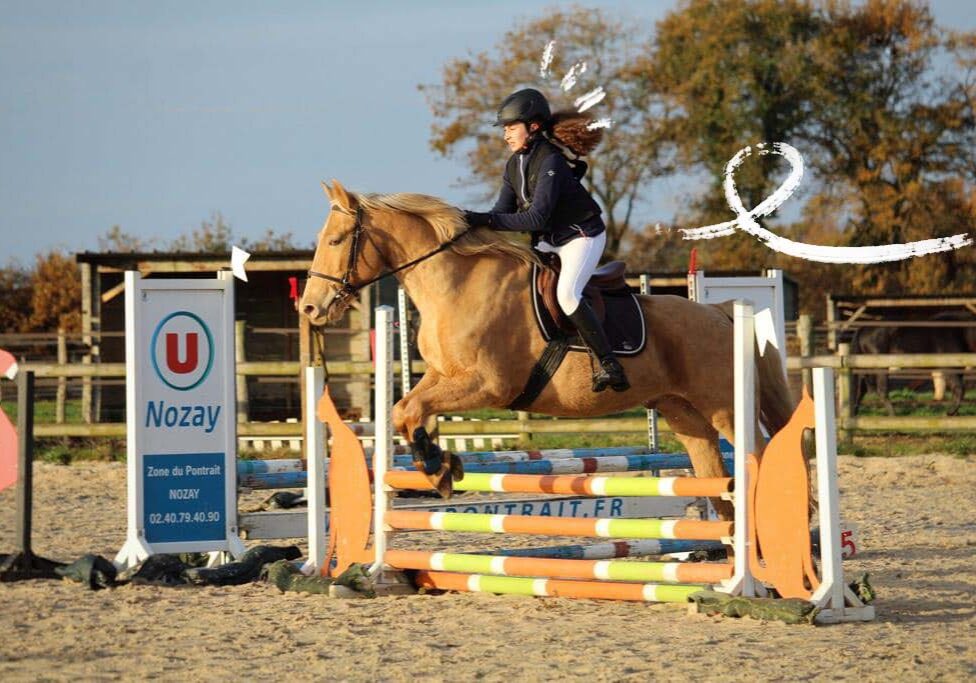 challenge CSO équitation nantes