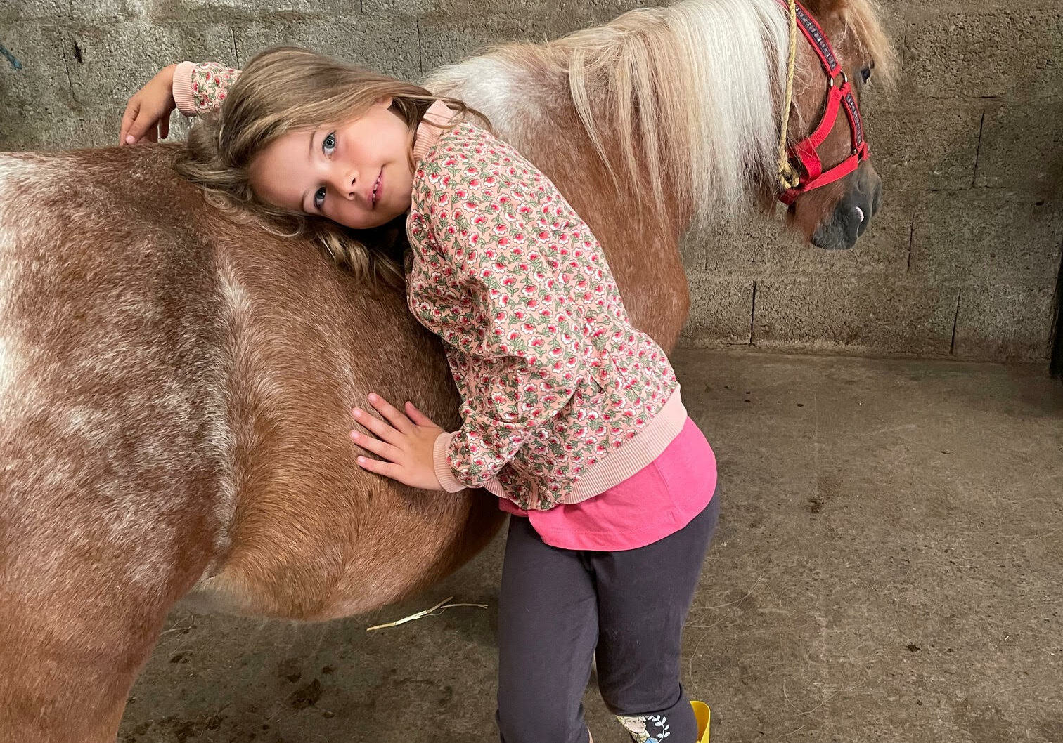 activité équitation en famille nantes